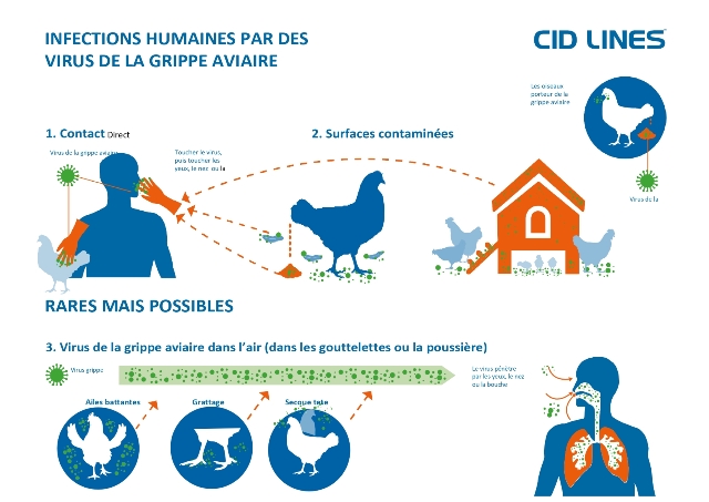 lutte contre la grippe aviaire