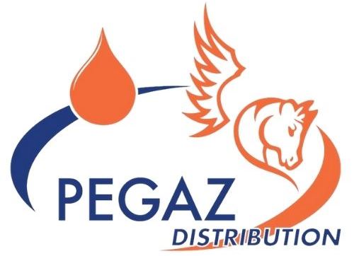 Pegaz - Nehmen Sie dem Testsieger unserer Redaktion